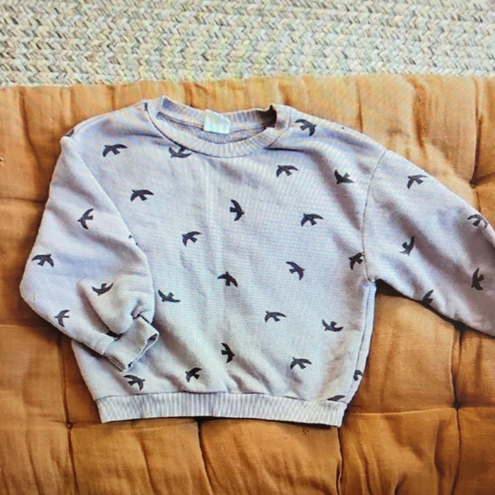 Gray Sweatshirt with Bird Pattern